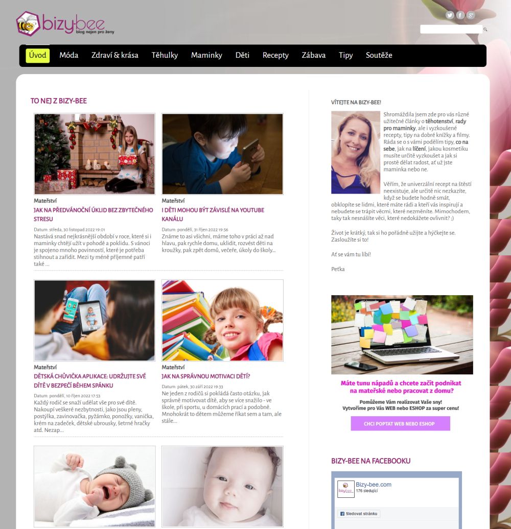 První webový projekt Bizy-bee.com a začátky SEO StaWEBnice